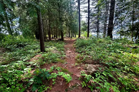 2295 Stony Lake Isl 17 N/A, ON K0L 2H0