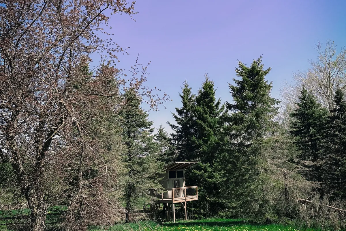 486289 30th Side Road, ON L9V 1G7