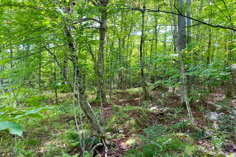 0 BROWN Lane, ON P0H 1S0