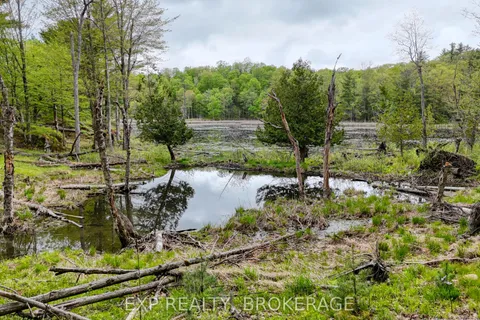 PART LOTS 10 AND 11 RITZ Road, ON K0G 1E0