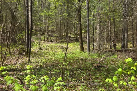 PT LT 10 Con 16 Village Road, ON P0H 1Z0