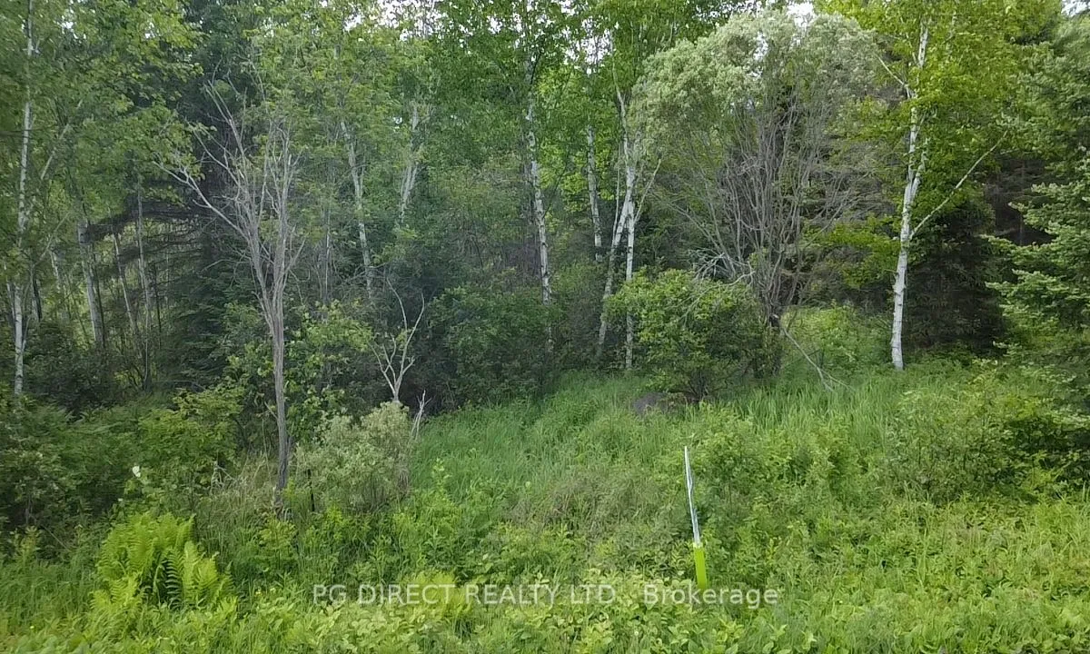 Lot 9 Part 1 Johnson Road, ON P0H 1K0