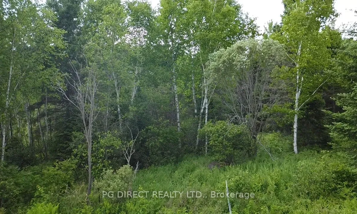 Lot 9 Part 1 Johnson Road, ON P0H 1K0