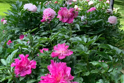 2750 Front Road, ON K0H 2S0