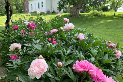 2750 Front Road, ON K0H 2S0