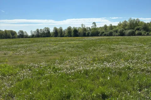 2412 Winger Road, ON L0S 1S0