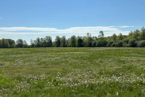 2412 Winger Road, ON L0S 1S0