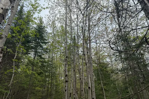 0 Bear Cave Road, ON P0C 1J0