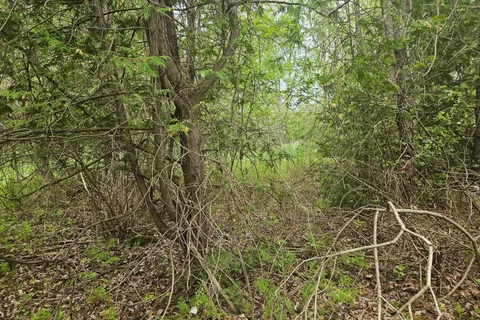 7 Grantham Road, ON K7V 3Z8