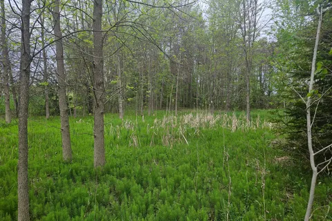 7 Grantham Road, ON K7V 3Z8