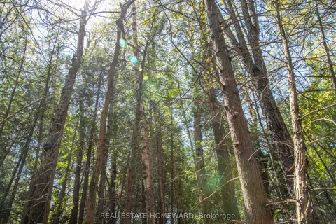 P/L35 Con 5 Bull Road, ON K0K 1C0