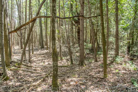 P/L35 Con 5 Bull Road, ON K0K 1C0