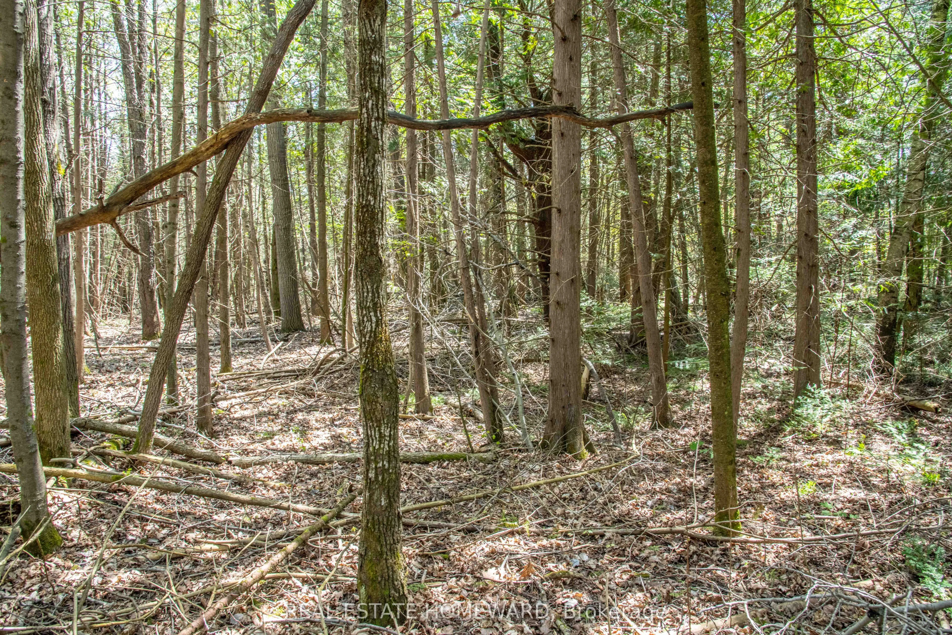 P/L35 Con 5 Bull Road, ON K0K 1C0