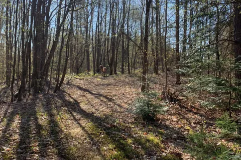 1175 Hillsview Road, ON K0L 2R0