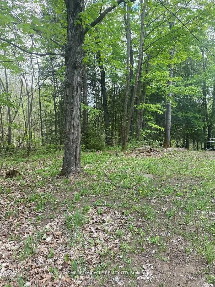3460 Harburn Road, ON K0M 1M0