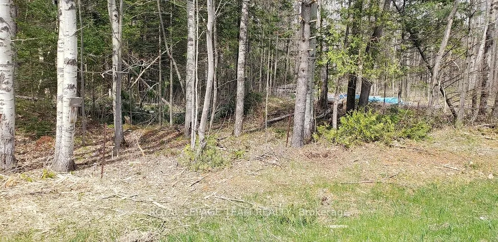 000 Burnstown Road, ON K0A 3L0