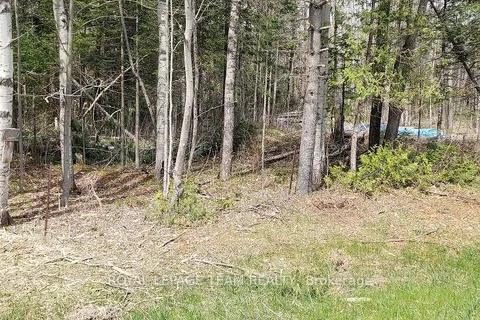 000 Burnstown Road, ON K0A 3L0