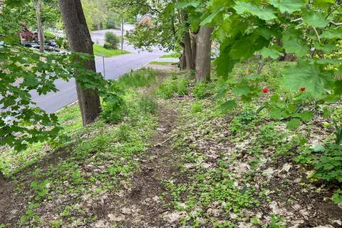 57 Kennedy Street, ON N3R 2C7