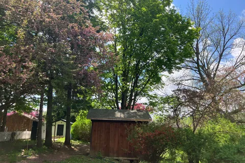 330 Spencer Street, ON N4S 2H3