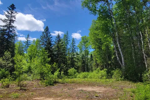 0 Dufferin Street, ON P0A 1X0