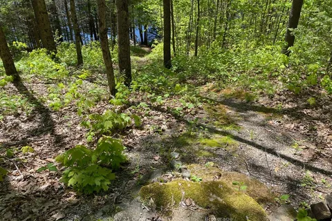 1037 Rotunda Drive, ON K0M 1R0