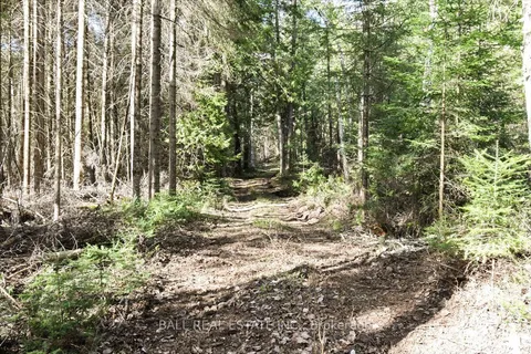 0 Clydesdale Road, ON K0L 1A0