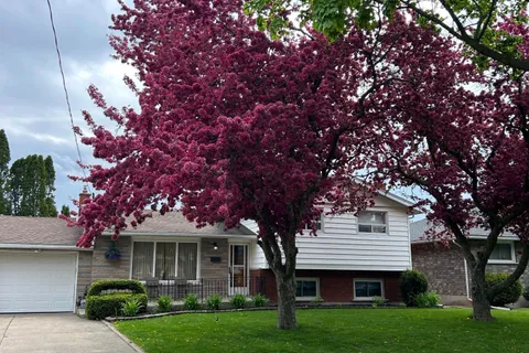 8 Pamela Drive, ON L2V 2X8