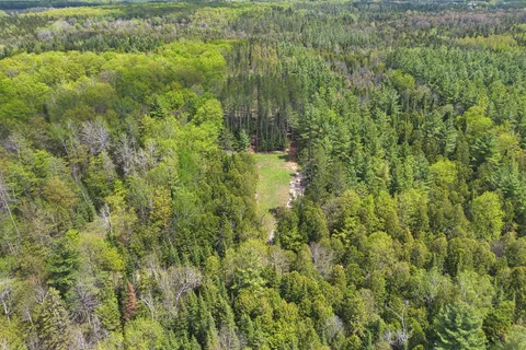 796331 East Back Line, ON N0H 1C0