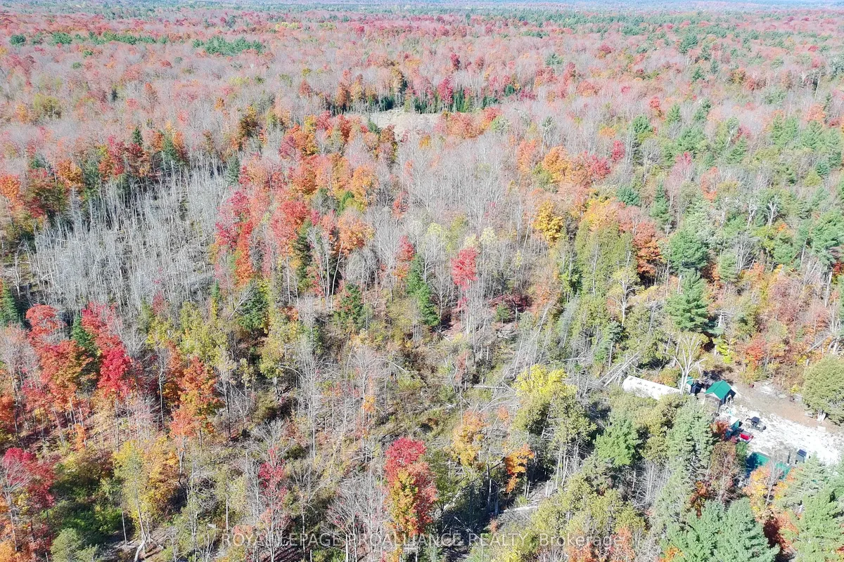 812 Cleveland Road, ON K0K 1Y0