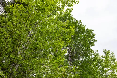 00 Drummond Conc. 5B Road, ON K7H 3C8