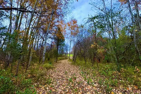 397641 10 CONCESSION N/A, ON N4K 5N8