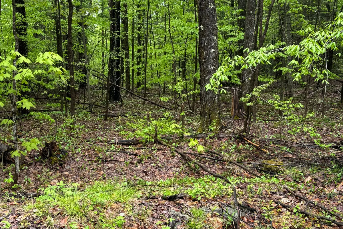 1498 Lone Pine Drive, ON P1L 1X4