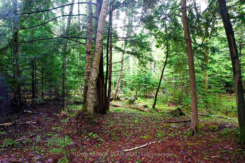 -00 Biernacki Mountain Road, ON K0J 1B0