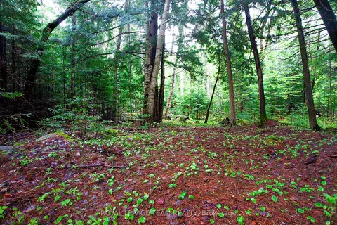 -00 Biernacki Mountain Road, ON K0J 1B0