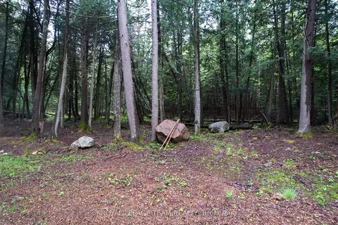 - Biernacki Mountain Road, ON K0J 1B0