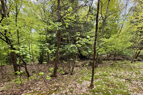 13 Harrison Landing Road, ON P0G 1G0