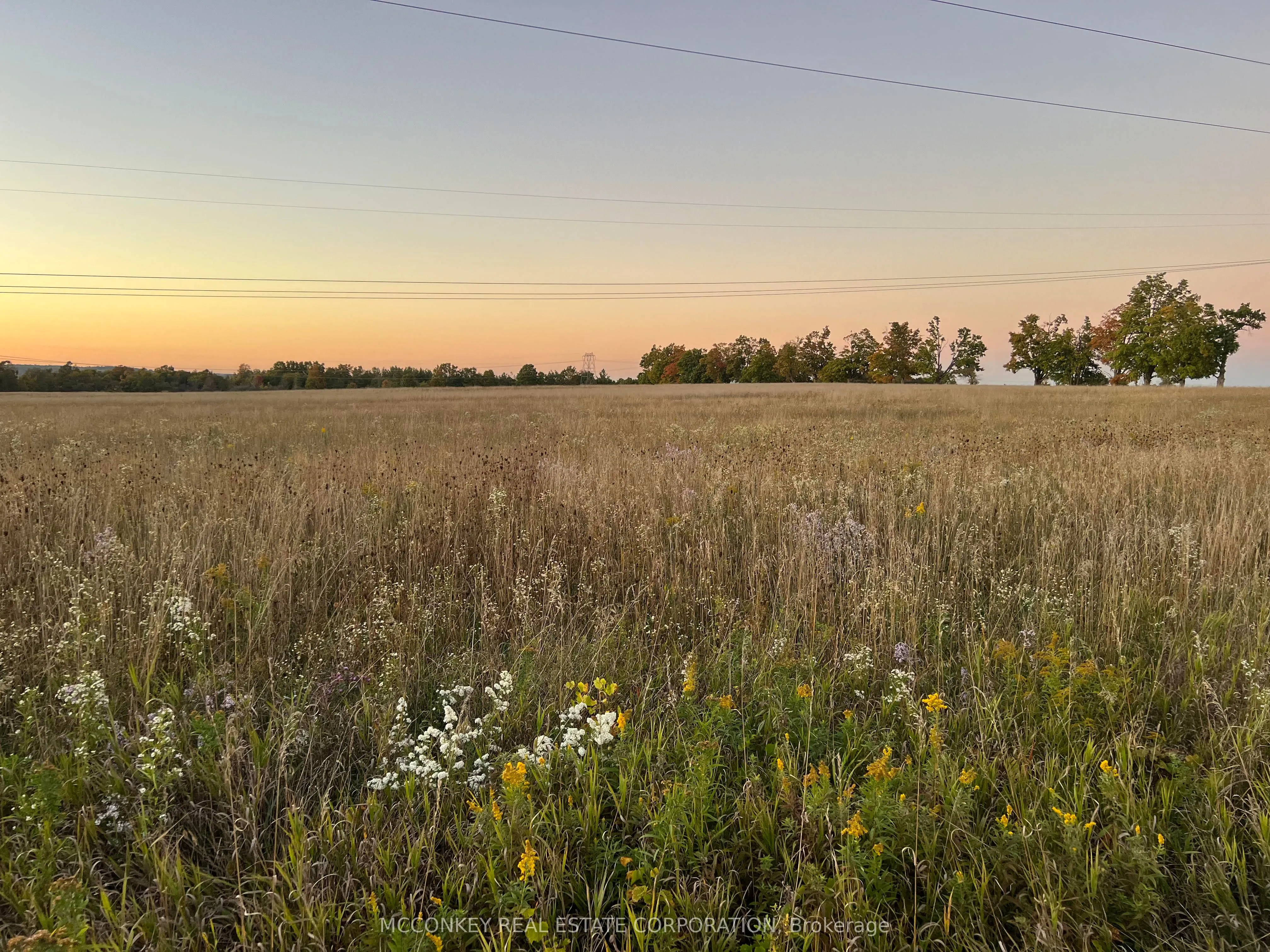 1020 Larmer Line, ON K0L 1V0