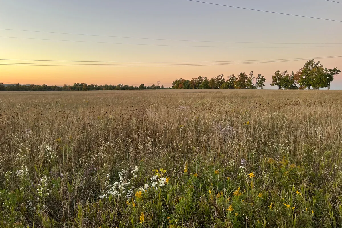 1020 Larmer Line, ON K0L 1V0