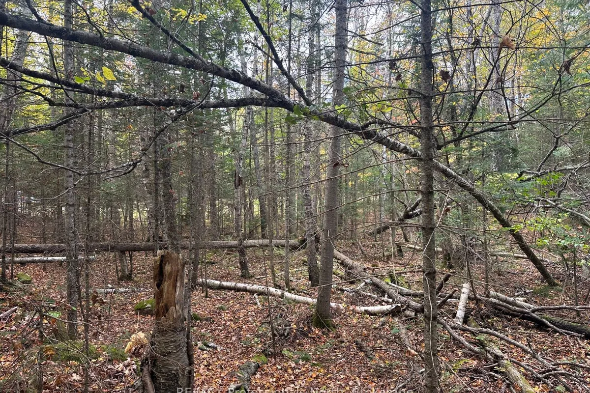 0 Parish Line Road, ON K0M 1S0