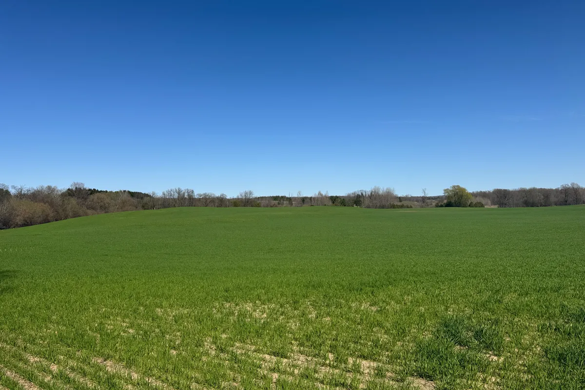 00 Bethel Road, ON N0B 2E0