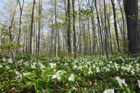 000 Crossen Road, ON K9A 4J9