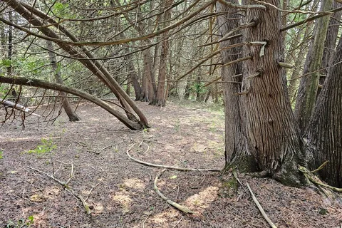 0000 Cedarstone Road, ON K0K 3G0