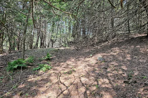 0000 Cedarstone Road, ON K0K 3G0