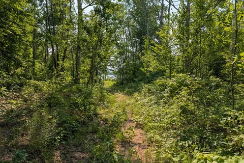 217 Bryant Street, ON N0H 2T0