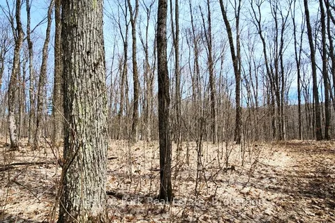 0 Skyline Drive, ON P0A 1C0