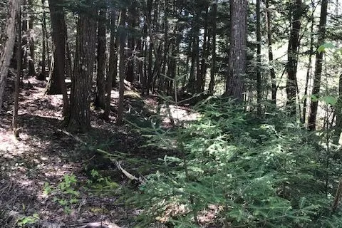 10 parker bay Road, ON P0G 0G0