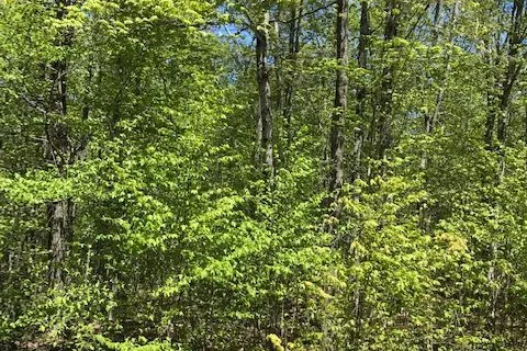 10 parker bay Road, ON P0G 0G0