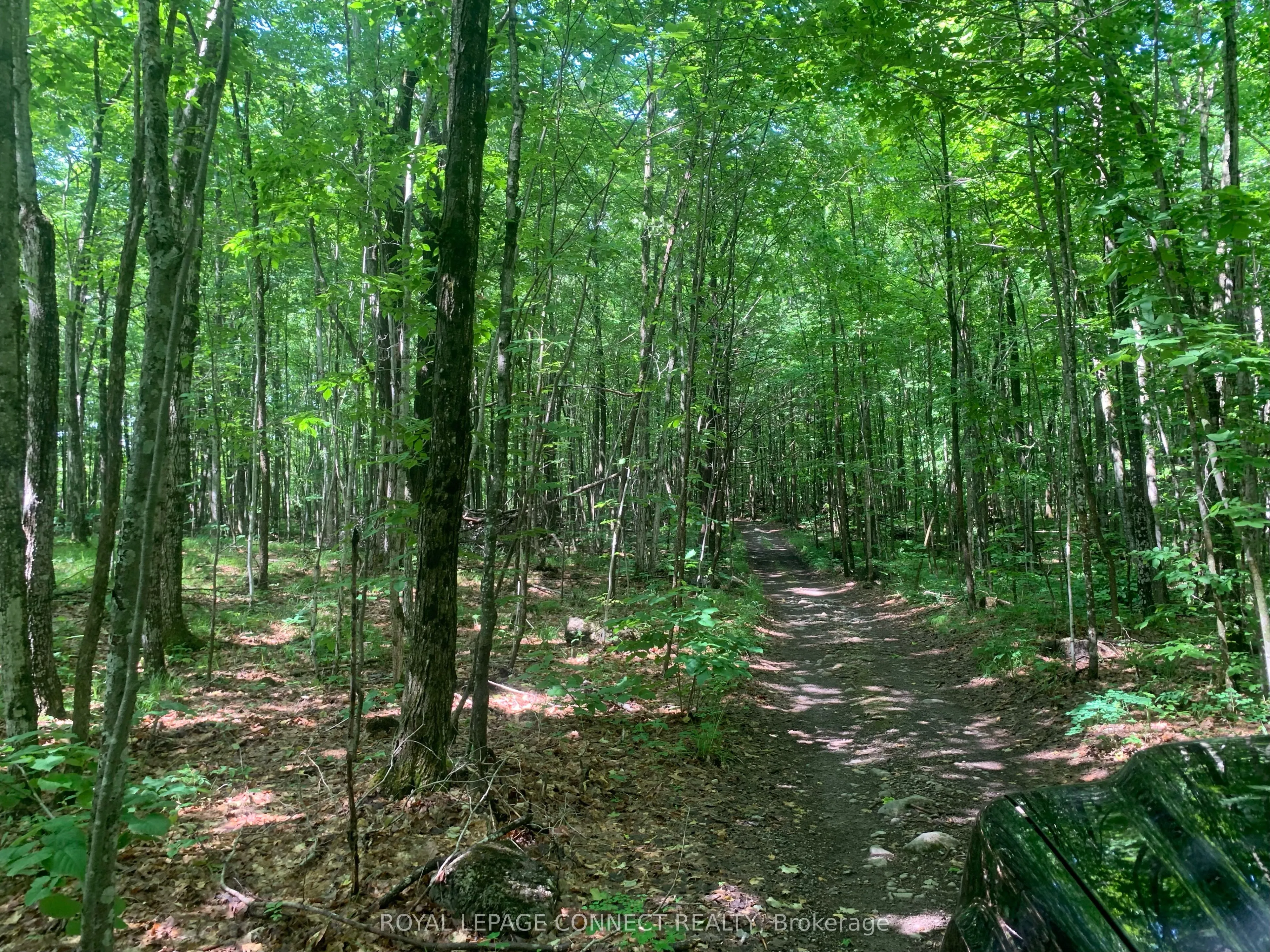 00 Clareview Road, ON K0K 2A0