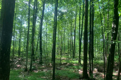 00 Clareview Road, ON K0K 2A0