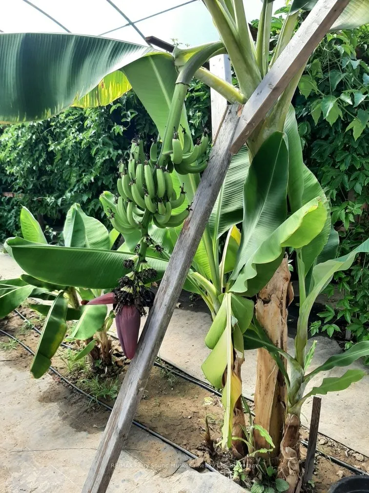 791 Clear Lake Road, ON P0H 1A0